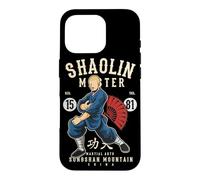 Carcasa para iPhone 16 Pro Shaolin Wu-Yi Kung Fu Artes Marciales Songshan Montañas Regalo