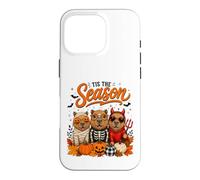 Carcasa para iPhone 16 Pro Tis The Season Halloween Capybara Pumpkin Costume