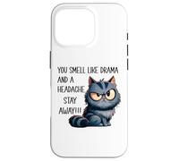 Carcasa para iPhone 16 Pro You Smell Like Drama and A Headache Please Go Away Funny Cat
