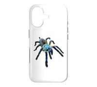 Carcasa para iPhone 17 Araña Tarántula Babuino Azul Isla Socotra (M. balfouri)