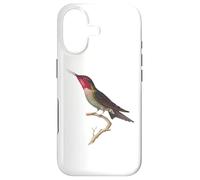 Carcasa para iPhone 17 Colibrí Hermoso Colibrí Anna