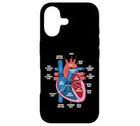Carcasa para iPhone 17 Diagrama de anatomía cardíaca Estudio de biología del Sistema Cardiovascular