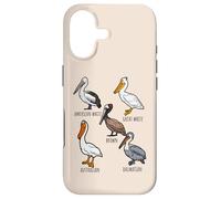Carcasa para iPhone 17 Different Type of Pelican Species For Bird Lovers Wildlife