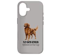 Carcasa para iPhone 17 Optimismo de Perro Perdiguero de Revestimiento Plano en diseño de Mascotas de Cuatro Patas