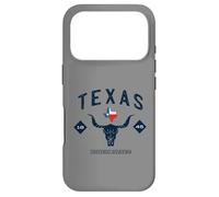 Carcasa para iPhone 17 Pro Abanico Vintage de Texas 1845, Estados Unidos