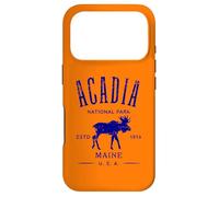 Carcasa para iPhone 17 Pro Acadia National Park Maine USA - Recuerdo de diseño Envejecido