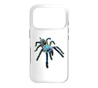 Carcasa para iPhone 17 Pro Araña Tarántula Babuino Azul Isla Socotra (M. balfouri)
