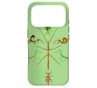 Carcasa para iPhone 17 Pro Arte Genial Insecto Palo para Niños y Niñas y Entomólogos