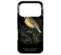 Carcasa para iPhone 17 Pro Arte Vintage de observación de Aves de Western Meadowlark Love Birds
