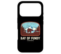 Carcasa para iPhone 17 Pro Bahía de Fundy Canadá