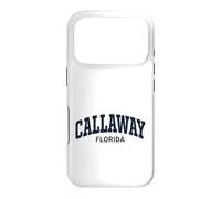 Carcasa para iPhone 17 Pro Callaway Florida Vintage