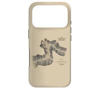 Carcasa para iPhone 17 Pro Canadian Train Railway - Vintage Pacific Route Map