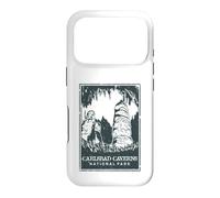 Carcasa para iPhone 17 Pro Carlsbad Caverns National Park New Mexico