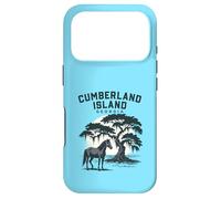 Carcasa para iPhone 17 Pro Cumberland Island Georgia Puesta de Sol