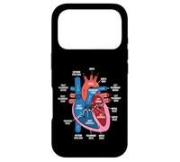 Carcasa para iPhone 17 Pro Diagrama de anatomía cardíaca Estudio de biología del Sistema Cardiovascular