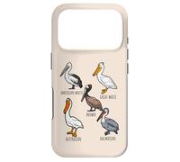 Carcasa para iPhone 17 Pro Different Type of Pelican Species For Bird Lovers Wildlife