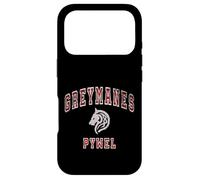 Carcasa para iPhone 17 Pro Distressed Greymanes Crimson Desert Pywel Funny Design