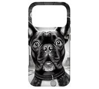 Carcasa para iPhone 17 Pro Divertido UFO Bulldog Francés Selfie Alien Encuentro Perro Meme