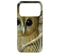 Carcasa para iPhone 17 Pro El jardín de Las delicias terrenales