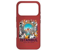 Carcasa para iPhone 17 Pro Estambul - City of Cats: Arte Turco