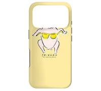 Carcasa para iPhone 17 Pro Friends Hip Turkey