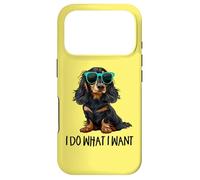 Carcasa para iPhone 17 Pro Funny Do What I Want Black Long Haired Dachshund Lover