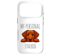Carcasa para iPhone 17 Pro Funny Fox Red Labrador Dog Owner