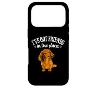 Carcasa para iPhone 17 Pro Funny Friends In Low Places Long Haired Dachshund Lover