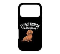 Carcasa para iPhone 17 Pro Funny Mens Womens Girl Friends In Low Places Dachshund Lover