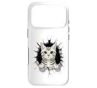 Carcasa para iPhone 17 Pro Graffiti Wall Art American Shorthair