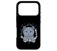 Carcasa para iPhone 17 Pro Graffiti Wall Art British Shorthair