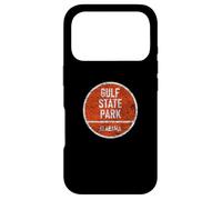 Carcasa para iPhone 17 Pro Gulf State Park Alabama AL Nature Vacation Souvenir Design