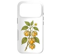 Carcasa para iPhone 17 Pro Impresión artística Vintage botánica Physalis Nature Fruit