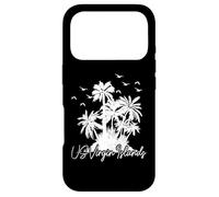 Carcasa para iPhone 17 Pro Islas Vírgenes de los Estados Unidos Pride Beach Vacation USVI Vintage