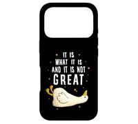 Carcasa para iPhone 17 Pro It is What it is and it is Not Great Funny Silly Goose Meme