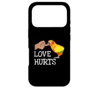 Carcasa para iPhone 17 Pro Love Hurts Sun Conure For Sun Conure Parrot Birds Lovers