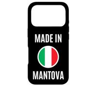 Carcasa para iPhone 17 Pro Mantova Orgoglio Locale Italia Città Travel Souvenir
