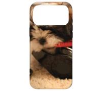 Carcasa para iPhone 17 Pro MAX Amante de los Perros de la música - Amor al Primer BOC