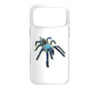Carcasa para iPhone 17 Pro MAX Araña Tarántula Babuino Azul Isla Socotra (M. balfouri)