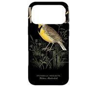 Carcasa para iPhone 17 Pro MAX Arte Vintage de observación de Aves de Western Meadowlark Love Birds