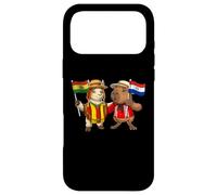 Carcasa para iPhone 17 Pro MAX Bandera Bolivia Paraguay Raíces Bolivianas Herencia