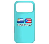 Carcasa para iPhone 17 Pro MAX Bandera uruguaya más puertorriqueña del Patrimonio de la perfección
