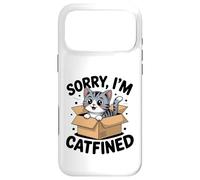 Carcasa para iPhone 17 Pro MAX Bonito diseño de Gato juguetón en Caja