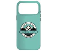 Carcasa para iPhone 17 Pro MAX Bosque Nacional White Mountain New Hampshire