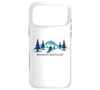 Carcasa para iPhone 17 Pro MAX Bromley Mountain Vermont Esquí Snowboard En Vermont