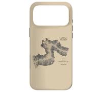 Carcasa para iPhone 17 Pro MAX Canadian Train Railway - Vintage Pacific Route Map