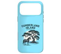 Carcasa para iPhone 17 Pro MAX Cumberland Island Georgia Puesta de Sol