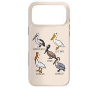 Carcasa para iPhone 17 Pro MAX Different Type of Pelican Species For Bird Lovers Wildlife