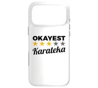 Carcasa para iPhone 17 Pro MAX Divertido Karateka Instructor de Karate