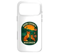 Carcasa para iPhone 17 Pro MAX Door County Wisconsin Puesta de Sol pintoresca Linda Vida Silvestre Viajes